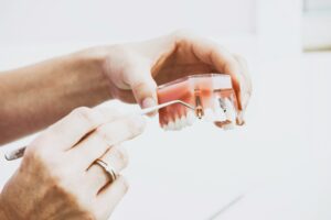 Hands demonstrating dental implant on model.